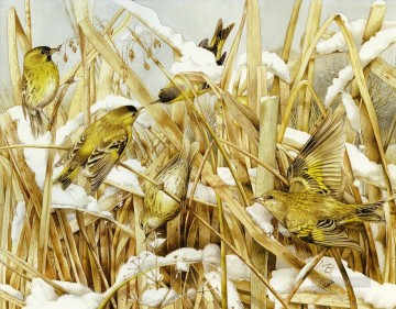 2月の鳥 Oil Paintings